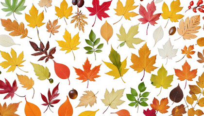 Wall Mural - leaves colorful the abstract flower pattern floral nature design illustration blue texture art green pink colours light plant wallpaper leaf red flora purple digital dark spring summer colourful