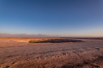 Wall Mural - desert landscape of the Atacama salt flat, Chile