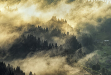 Wall Mural - silhouettes of morning mountains. foggy morning in the Carpathians. Mountain landscape