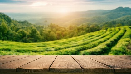 Wall Mural - empty wooden table for product and blurred fresh landscape nature background