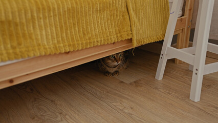 Poster - A cat is hiding under a bed inside a home with wooden floors and a yellow blanket, creating a cozy indoor setting.