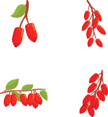 Wall Mural - Barberry icons set cartoon vector. Ripe red barberry on branch. Organic food