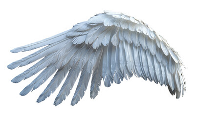 majestic angel wing on transparent background.