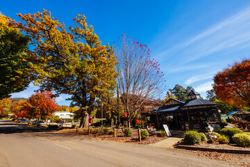 Sticker - Marysville in Autumn Colours in Australia