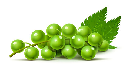 Wall Mural - green peas isolated on a stark white background