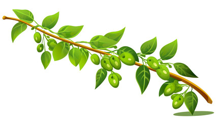 Wall Mural - A solitary green pea on a plant against a stark white background