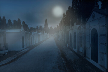 Wall Mural - Old cemetery street in a full moon night