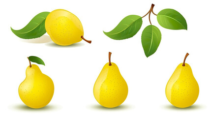 Wall Mural - solitary pear fruit on a white background