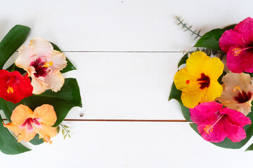 Poster - Tropical flowers and leaves, summer vacational background