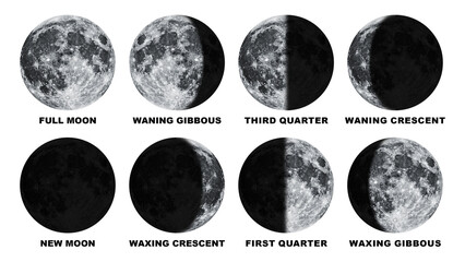 phases of the moon with label isolated on transparent background