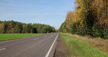 Wall Mural - paved road with trees in the forest in autumn, trees along the paved road for cars