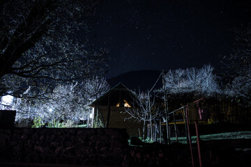 Old house with a Ghost in the forest at misty night or Night scene with House under moon. Old mystic building in dead tree forest.