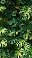  Montera Leaves Wallpaper. Tropical background