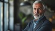 © useful pictures - Confident mature older rich successful gray-haired business man leader, successful mid aged senior professional businessman crossing arms looking at camera standing on office studio background