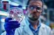 © Tymofii Borysenko - Man in a lab coat holding a petri dish with a petri dish in