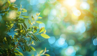 Wall Mural - Blurred background of spring nature with bokeh light effect Abstract green and blue blurred background with sun rays Generative AI