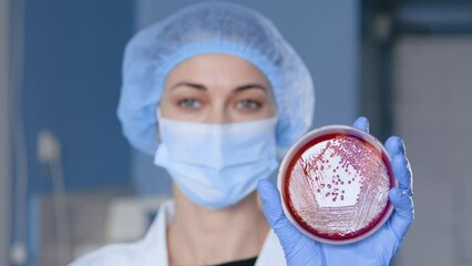 Poster - Chemical analysis results. Female scientist showing petri dish on camera at lab