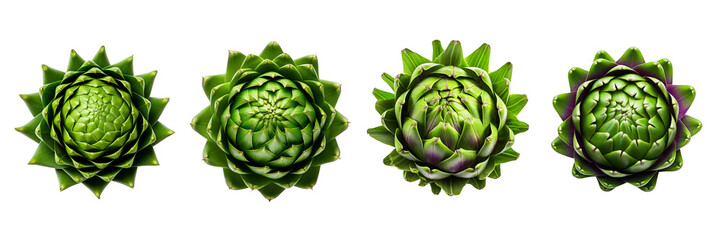 Wall Mural -  set of A top view of magic artichoke, on a transparent backgrounds