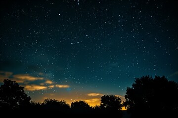 Wall Mural - Starry Night Over Trees