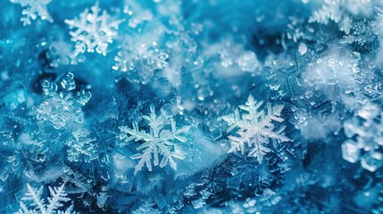 Canvas Print - Winter background. ice snowflakes