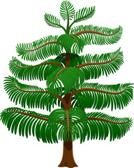 Sticker - Cartoon jungle rainforest tree, Jurassic era game asset, evergreen tropical plant with lush foliage. Isolated 2d landscape graphics. Isolated cartoon vector plant for ancient world gaming experience