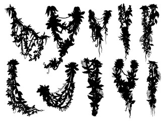 Wall Mural - vertical jungle tropical liana branch vine silhouettes, vector ivy creeper plants. hanging tree with