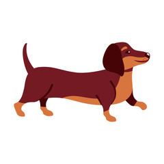 Sticker - dachshund dog animal