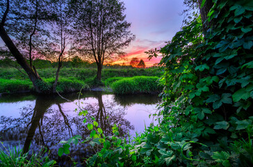 Wall Mural - spring sunset over the wild river banks