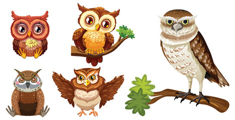 Wall Mural - Five diverse owls illustrated in vibrant colors