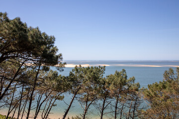 Wall Mural - Banc d'Arguin french island sand on arcachon bay