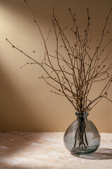 Wall Mural - a glass vase on the table in the sunlight with dry tree branches