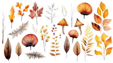 Poster -  Collection of autumn-themed watercolor 