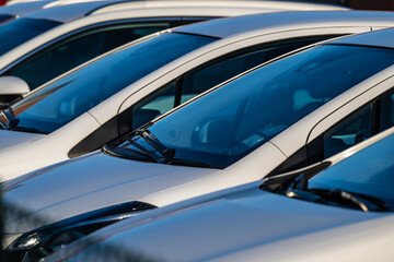 Wall Mural - Row of white cars on a parking lot.