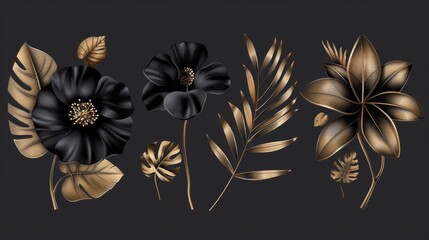 Wall Mural - Modern set of tropical black and gold flowers on dark background. Tropical jungle plant on stem with leaves, exotic medinilla magnifica on stem and leaves for spa design.