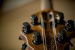 © vitanovski - Close-up of a guitar headstock with ornate tuning pegs