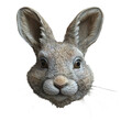 © Marteen Stenberg - front view rabbit mask isolated on transparent background ,generative ai