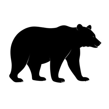 silhouette bear on transparent bg