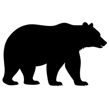 silhouette bear on transparent bg