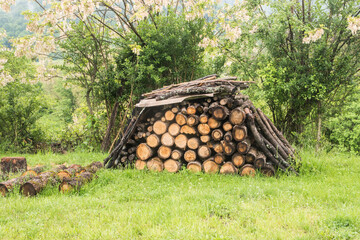 Wall Mural - Pile of stacked firewood in rural farm meadow in spring time