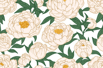Poster - Peonies, floral pattern. Seamless background, blossomed flowers. Botanical garden print, Japanese blooms. Retro natural texture. Hand-drawn vector illustration for textile, fabric, wallpaper design