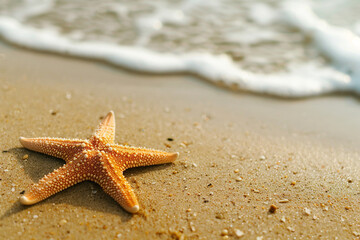 Wall Mural - Starfish lying on sand beach by the sea or ocean Summer time 