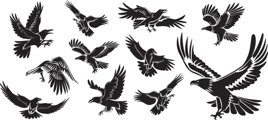 Set of raven, vector illustration.