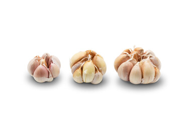 Wall Mural - Macro closeup of garlic isolated on transparent background png	