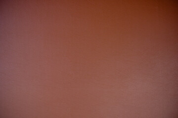 Wall Mural - Dark brown leather sheet texture can be use as background.