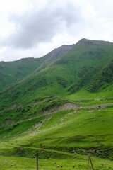 Wall Mural - a view of a mountain range covered with lush green grass