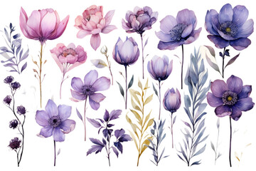 Poster - Collection of Hand-Painted Watercolor Flowers Isolated on Transparent Background, PNG, Cut Out.