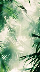 Naklejka na meble blurry palm leaves against grey background