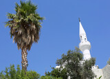 Fototapeta Lawenda - Palm Tree and White Painted Mosque with Blue Sky Background in Kalkan, Turkey