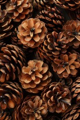 Poster - A group of pine cones displayed together. Suitable for nature or holiday-themed designs.