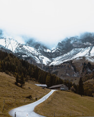 Wall Mural - a road in the middle of a field with mountains in the background